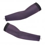 2013 Arm Warmer Cycling Gray